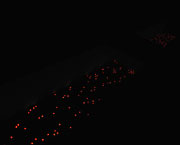 Tatsuo Miyajima, Time River, 2004