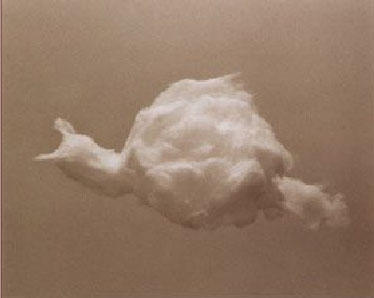 Vik Muniz, Equivalent Series, Snail, 1993